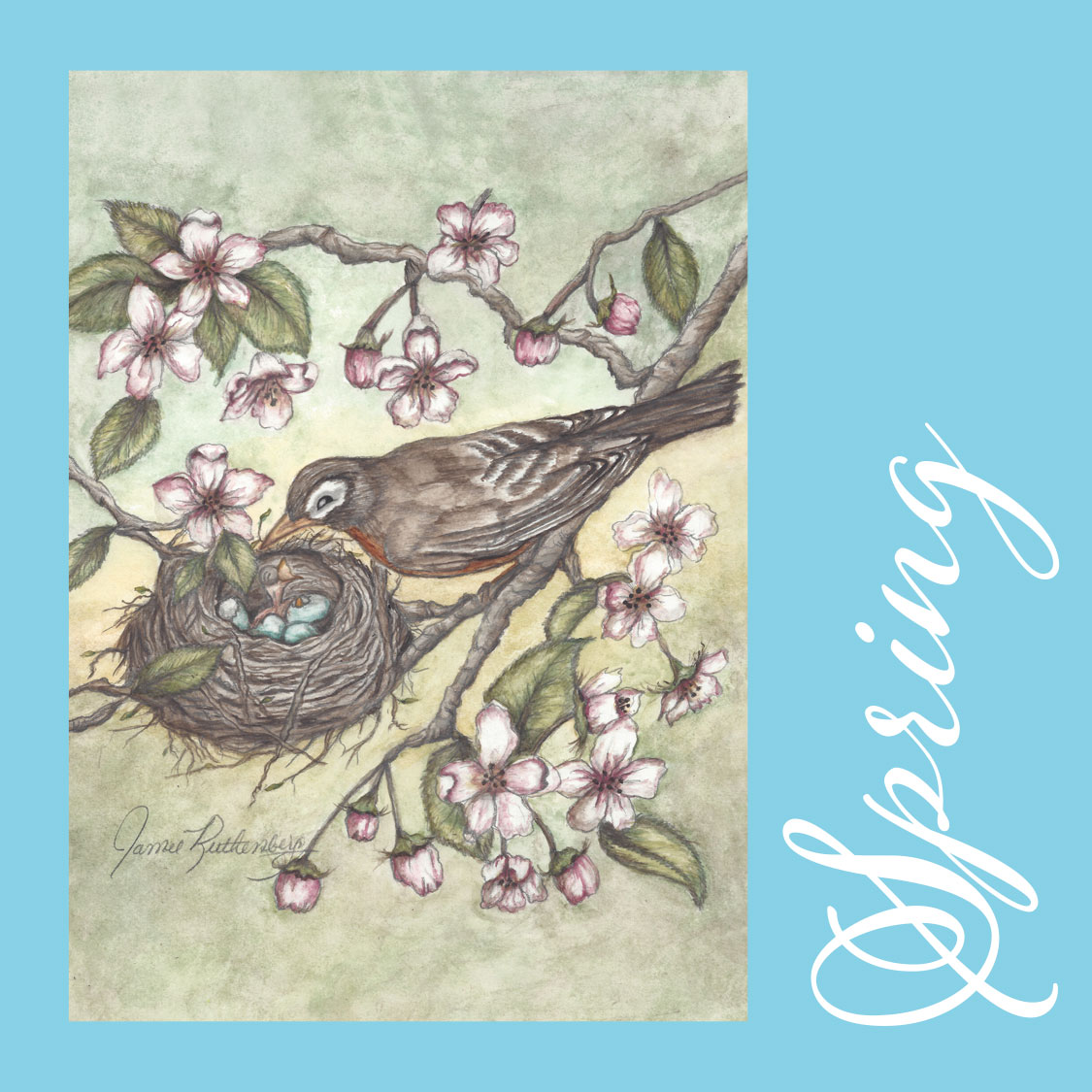 American Robin Greeting Cards - Image 2