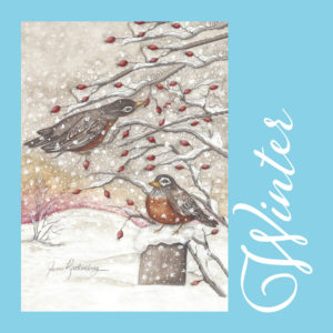 American Robin Greeting Cards - Winter