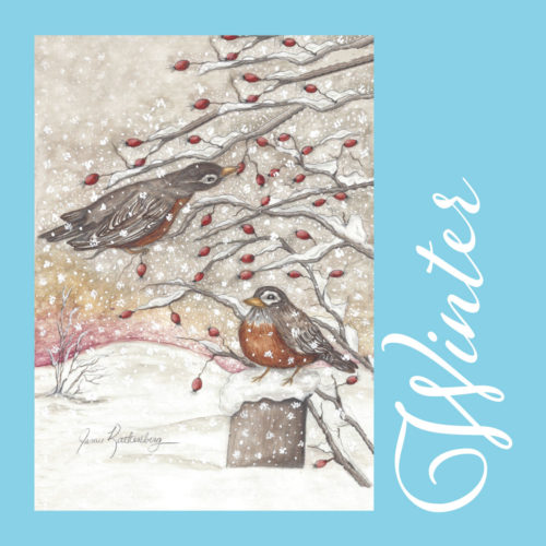 American Robin Greeting Cards - Winter